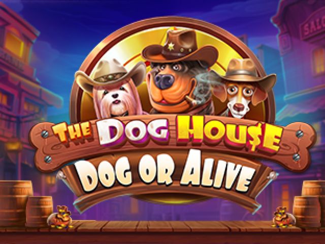 The Dog House - Dog or Alive