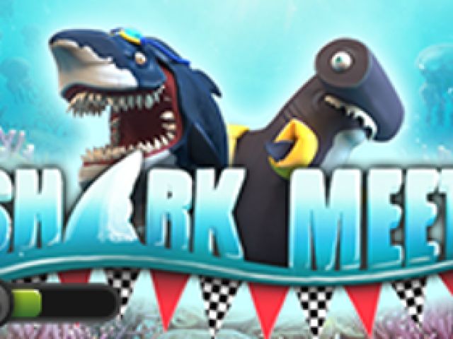 Shark Meet