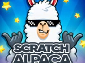 Scratch Alpaca Silver