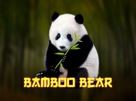 Bamboo Bear